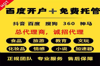 某品牌SEM广告投放效果全解析
